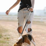 Happy Paws Pet Care